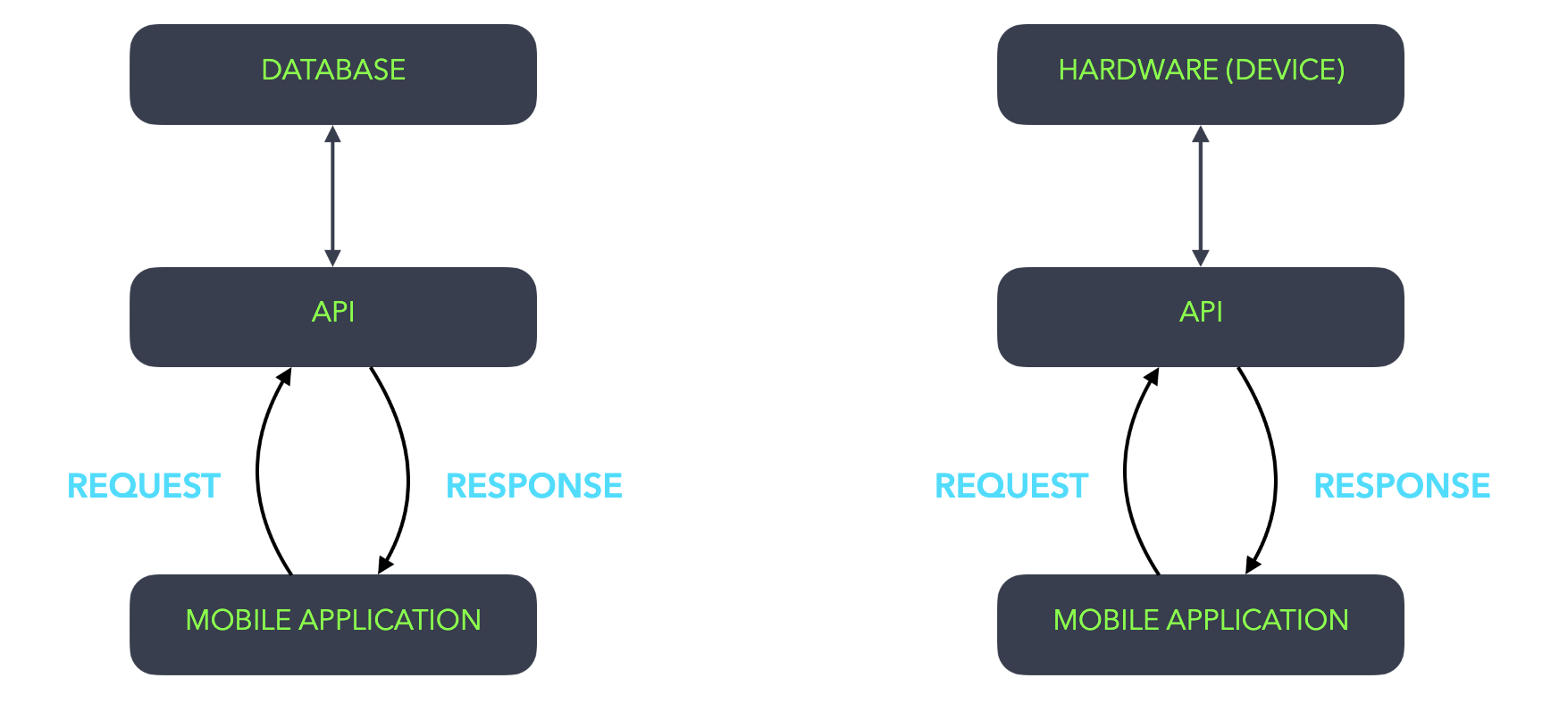 schema api